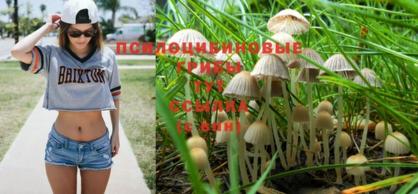 дмт Алексин
