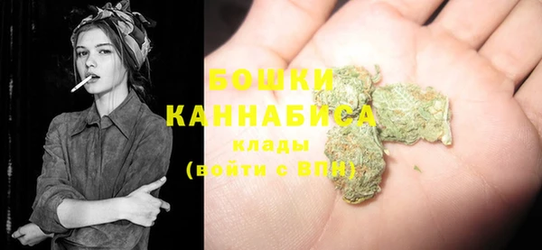 молекула духа Липки