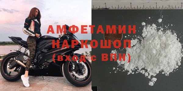 индика Алзамай