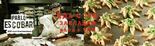 индика Алзамай