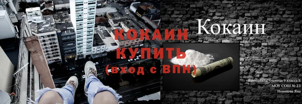 индика Алзамай