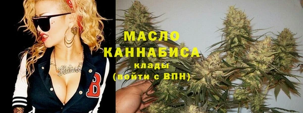 дмт Алексин
