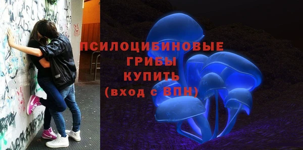 дмт Алексин