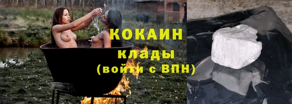 индика Алзамай