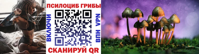 сайты даркнета клад  Белгород  Галлюциногенные грибы Psilocybe 